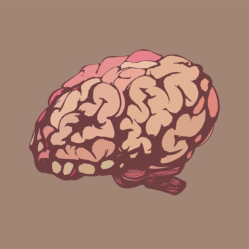 Cognitive Enhancement